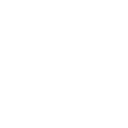 Business Visa Icon